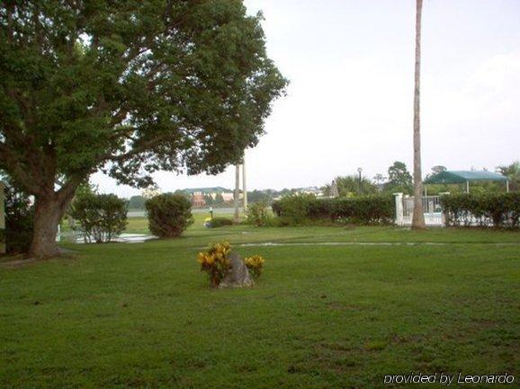 Inn On The Green Florida Tavares Fasiliteter bilde